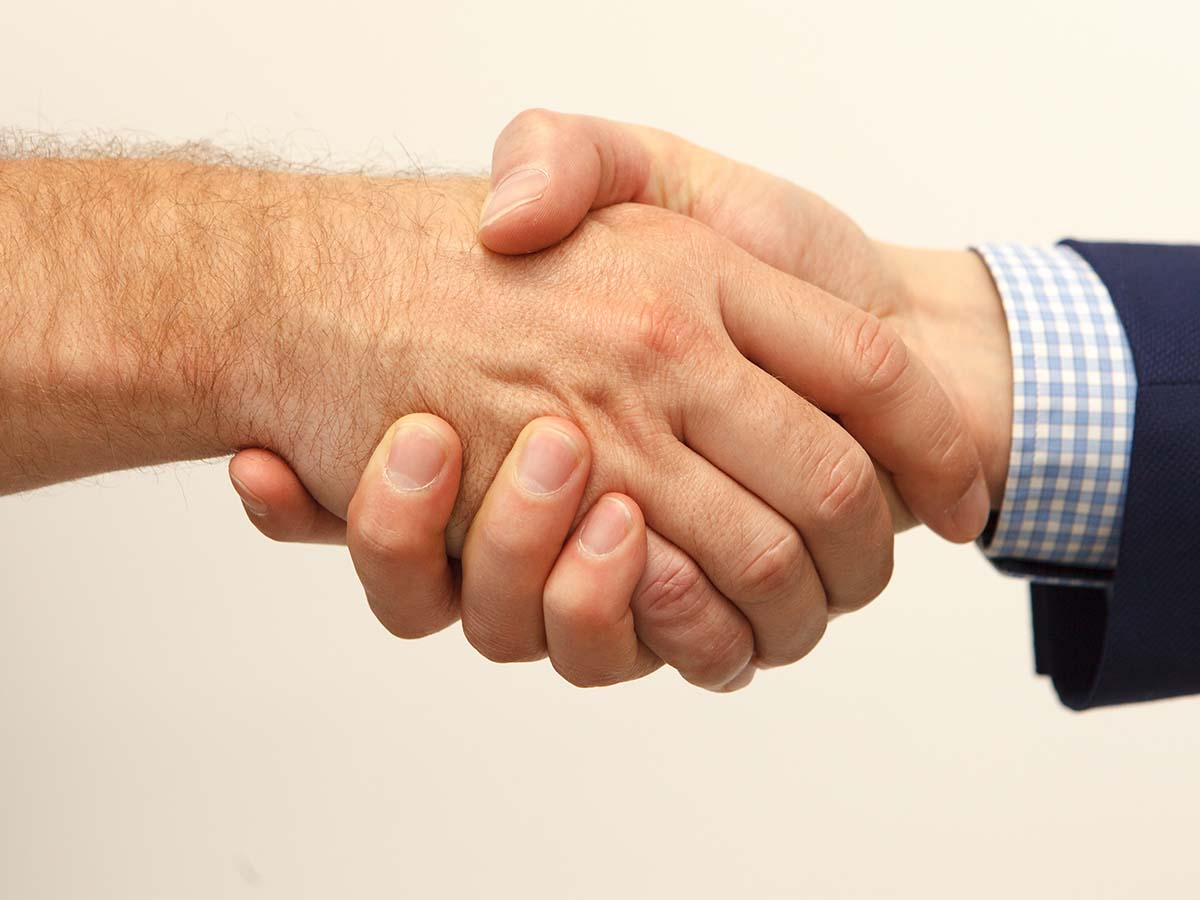 Professional Hand Shake